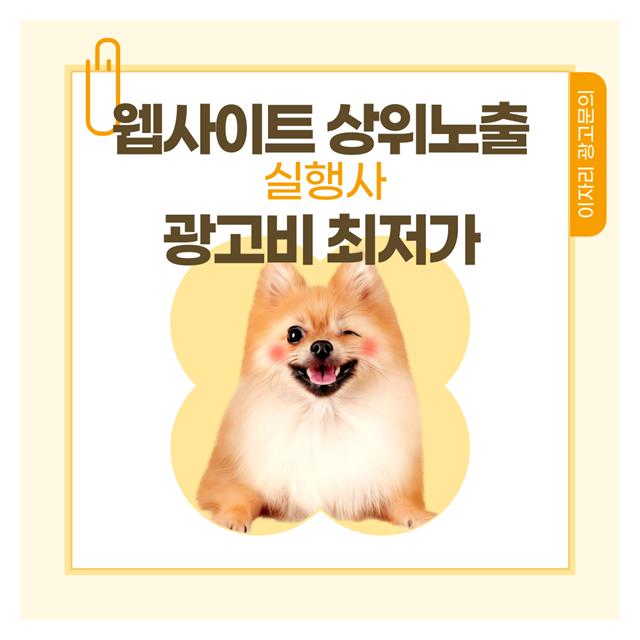 원주강아지분양 웹사이트